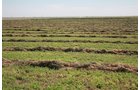 Property photo 119 - LAND AUCTION, 3255+/- Acres offered in 13 Tracts